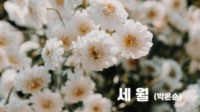 세월